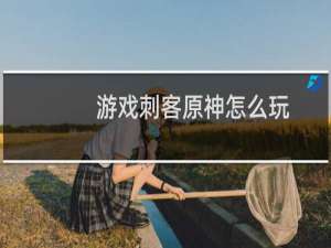 游戏刺客原神怎么玩