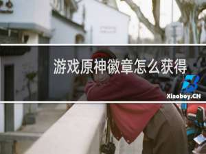 游戏原神徽章怎么获得
