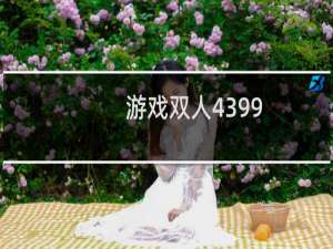 游戏双人4399
