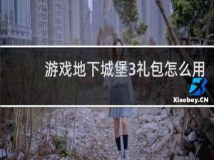 游戏地下城堡3礼包怎么用