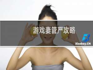 游戏妻管严攻略