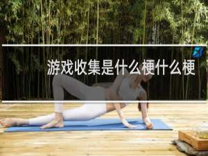 游戏收集是什么梗什么梗
