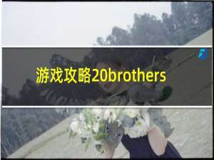 游戏攻略 brothers