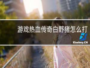 游戏热血传奇白野猪怎么打