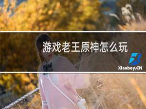 游戏老王原神怎么玩
