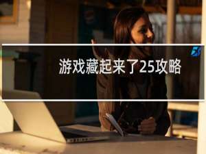 游戏藏起来了25攻略