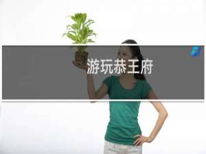 游玩恭王府