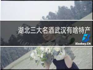 湖北三大名酒武汉有啥特产