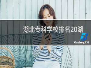 湖北专科学校排名 湖北有几所双高专科学校