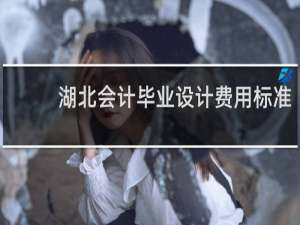 湖北会计毕业设计费用标准