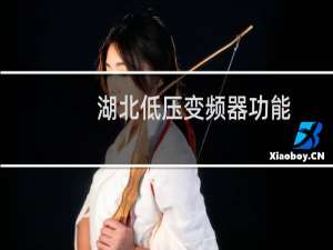 湖北低压变频器功能
