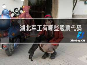 湖北军工有哪些股票代码