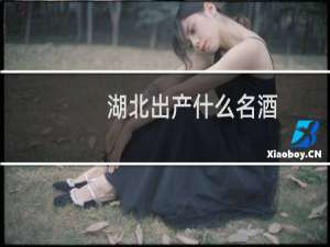 湖北出产什么名酒