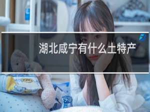 湖北咸宁有什么土特产
