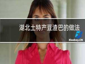 湖北土特产豆渣巴的做法