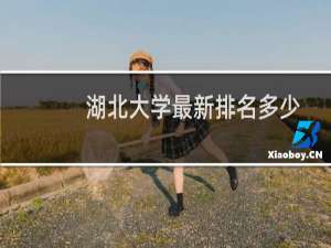 湖北大学最新排名多少位 非985大学中排名第94