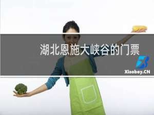 湖北恩施大峡谷的门票