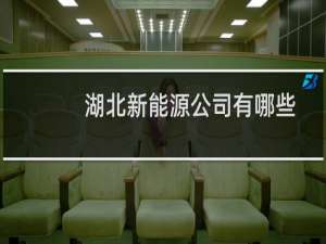 湖北新能源公司有哪些