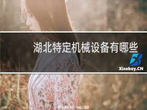 湖北特定机械设备有哪些