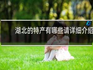 湖北的特产有哪些请详细介绍