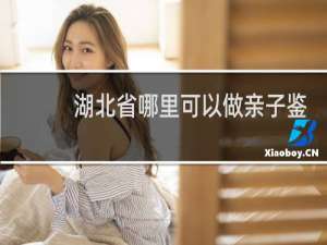 湖北省哪里可以做亲子鉴定