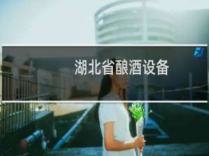 湖北省酿酒设备