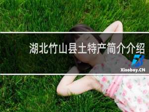 湖北竹山县土特产简介介绍