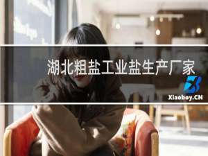 湖北粗盐工业盐生产厂家