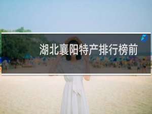 湖北襄阳特产排行榜前十（湖北省襄阳市十大特产）