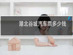 湖北谷城汽车票多少钱