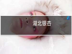 湖北银杏