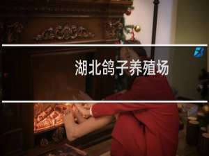 湖北鸽子养殖场