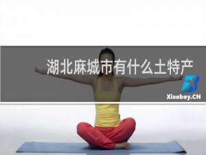 湖北麻城市有什么土特产