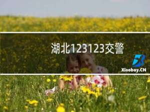 湖北123123交警服务平台（湖北交管12123官网登录入口是什么）