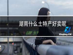 湖南什么土特产好卖呢