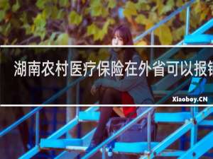 湖南农村医疗保险在外省可以报销吗
