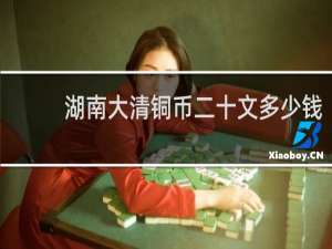 湖南大清铜币二十文多少钱