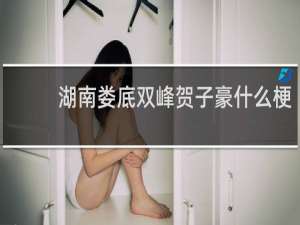 湖南娄底双峰贺子豪什么梗