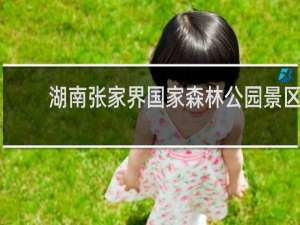 湖南张家界国家森林公园景区