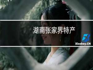 湖南张家界特产