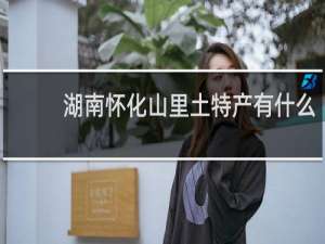 湖南怀化山里土特产有什么