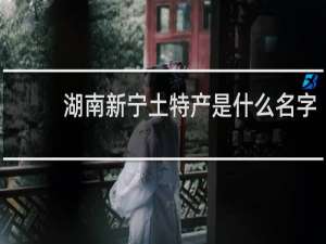 湖南新宁土特产是什么名字