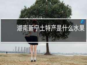湖南新宁土特产是什么水果