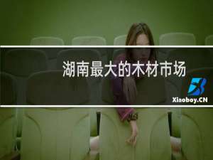 湖南最大的木材市场