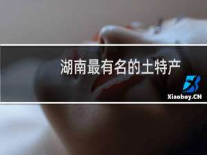 湖南最有名的土特产