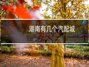 湖南有几个汽配城