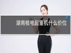 湖南核电起重机什么价位