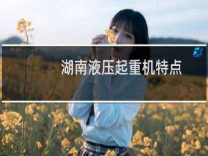 湖南液压起重机特点