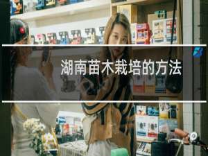 湖南苗木栽培的方法
