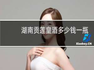 湖南贡莲皇酒多少钱一瓶